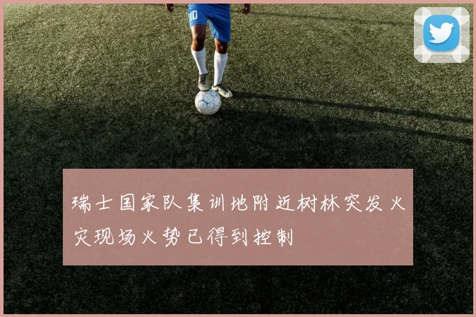瑞士国家队集训地附近树林突发火灾现场火势已得到控制